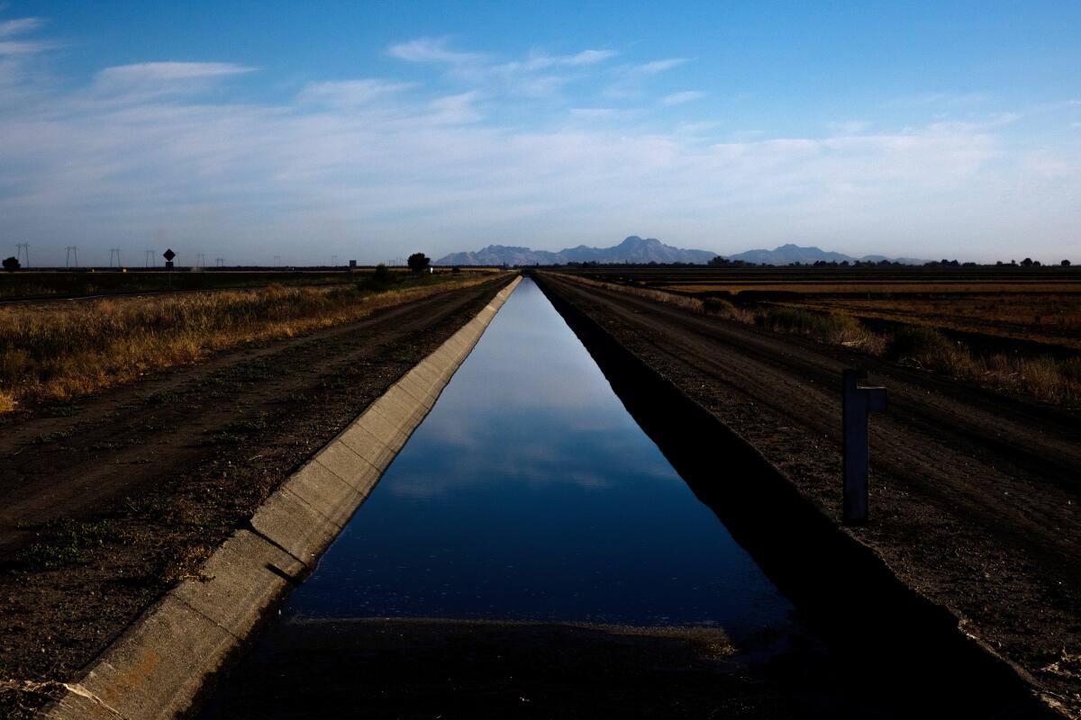 An irrigation canal that feeds a rice field in Knights Landing.