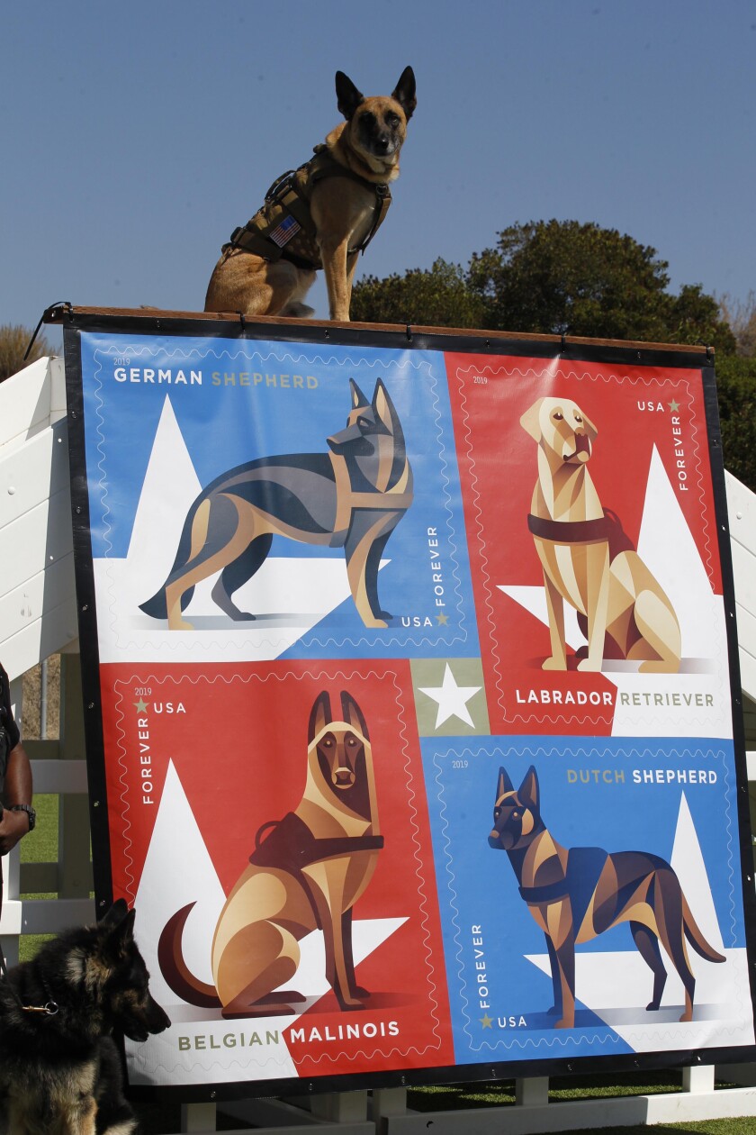 Military Working Dog Stamps Make San Diego Debut The San Diego