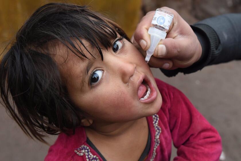 A health worker administers a polio vaccine to a child in Jalalabad, Afghanistan. The disease is still endemic in three countries: Afghanistan, Pakistan and Nigeria.
