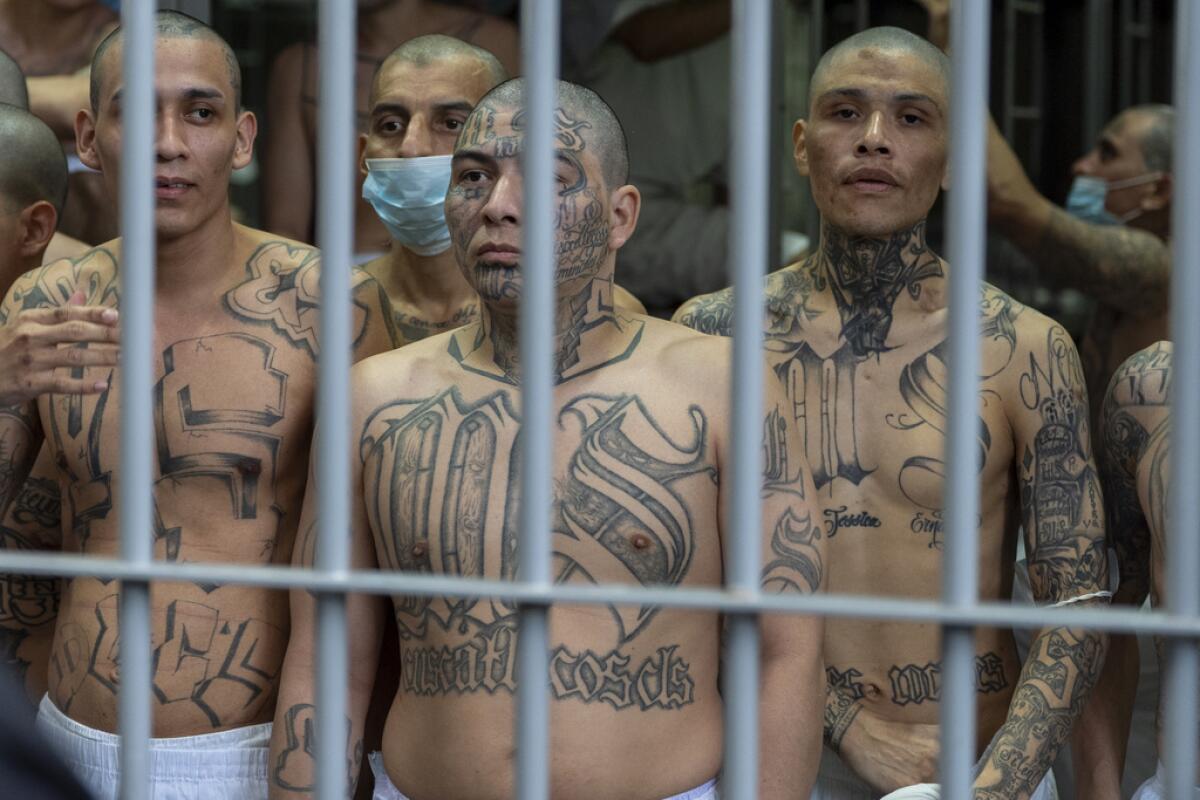 Reos con tatuajes de la pandilla MS-13