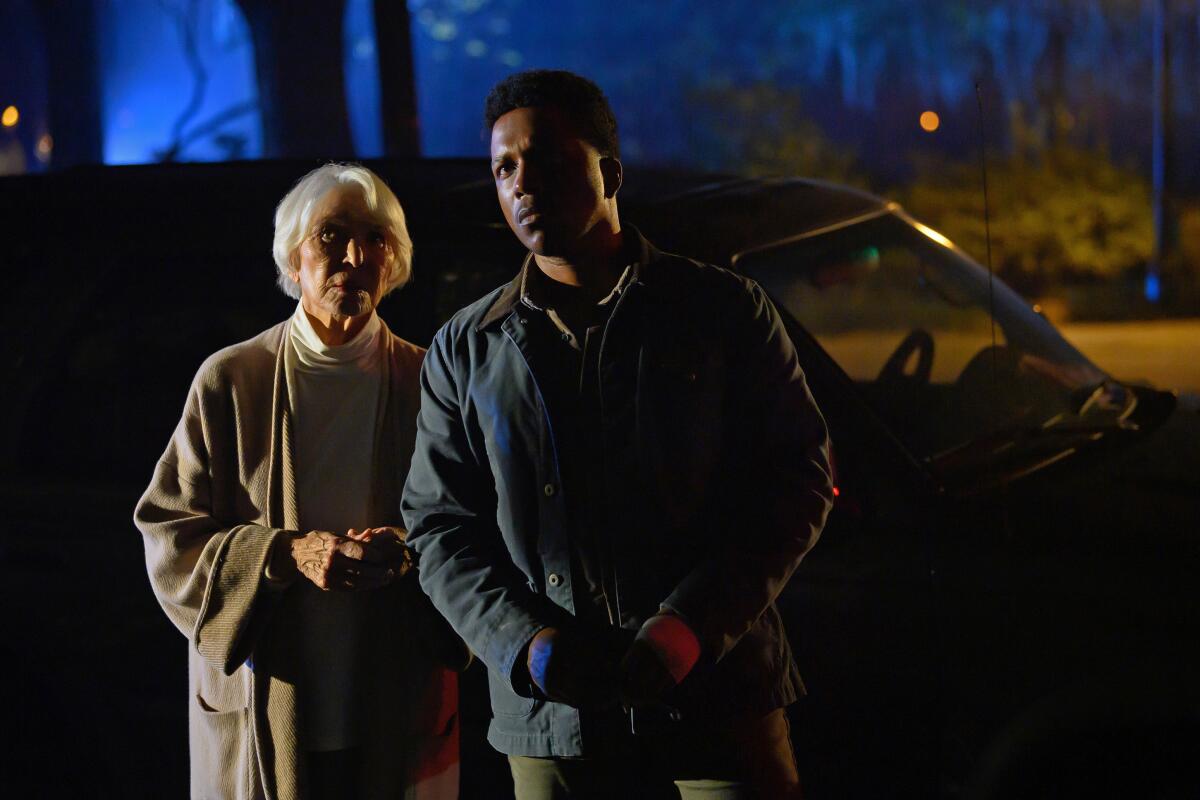 A gray-haired woman and a younger man stare into a suburban house on a dark night.