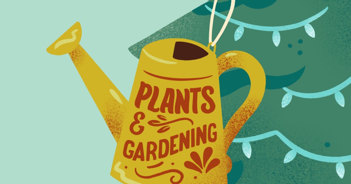 Gardening gifts for plant parents: Tools, accessories, more