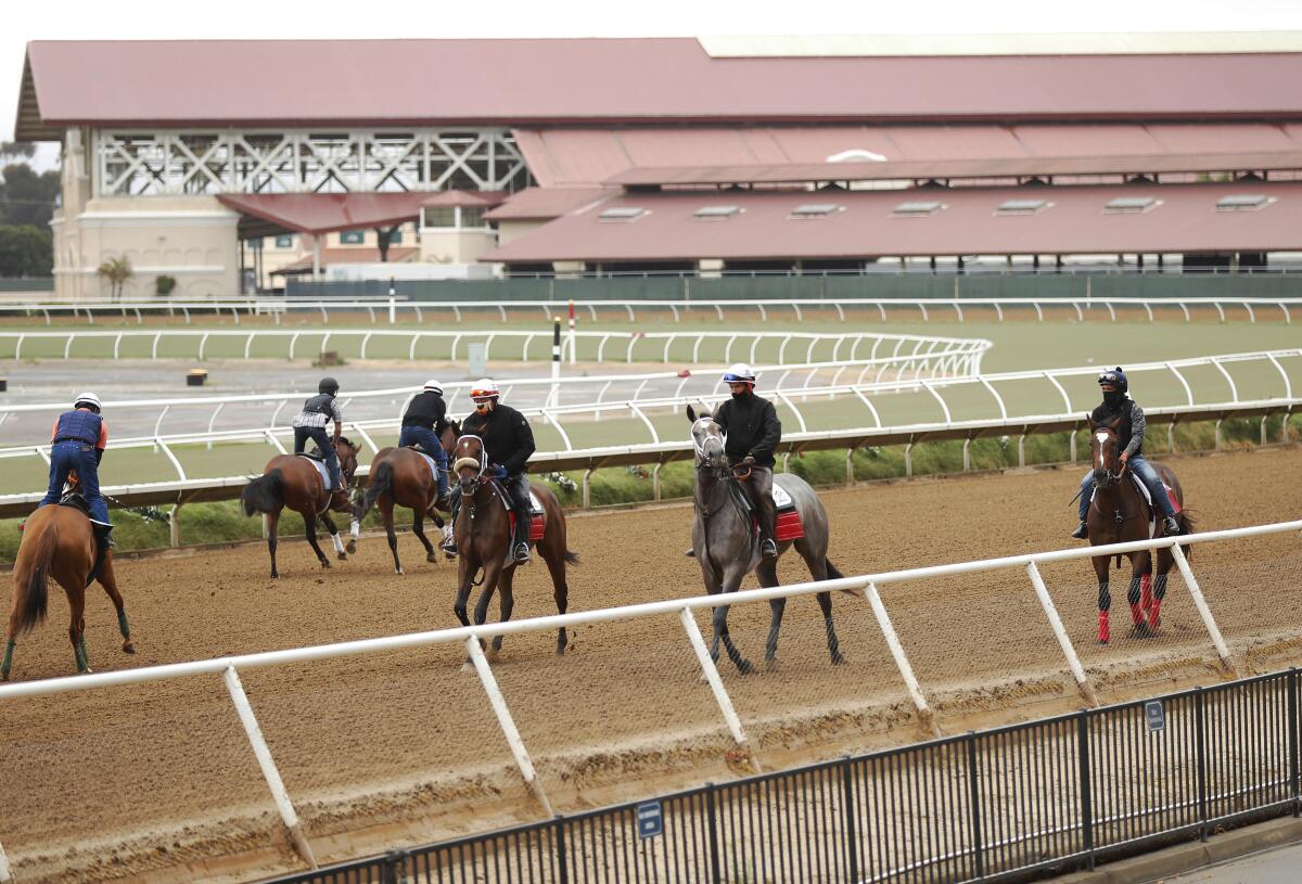 Horses on the track this summer at Del Mar.