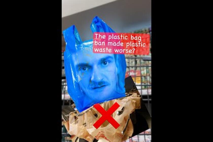 Did California's plastic bag ban make plastic waste a bigger problem?