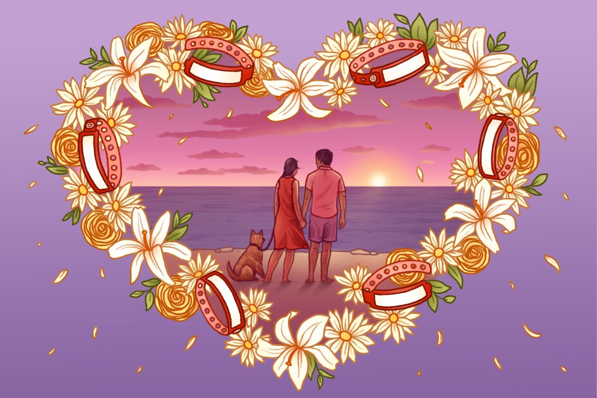 Framed by a heart made of flowers and hospital ID bracelets, a couple with a dog hold hands in front of a sunset.