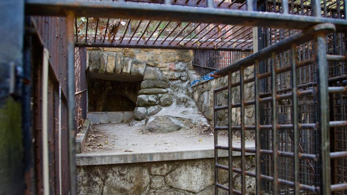 The old zoo in Griffith Park, which opened in 1912 and closed in the 1960s, still features some cages and is a popular site for filming.