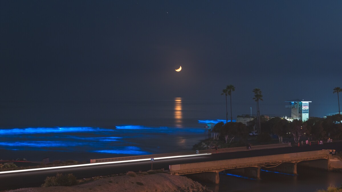 Bioluminescence Drawing Oohs And Aahs Along The San Diego County Coastline The San Diego Union Tribune
