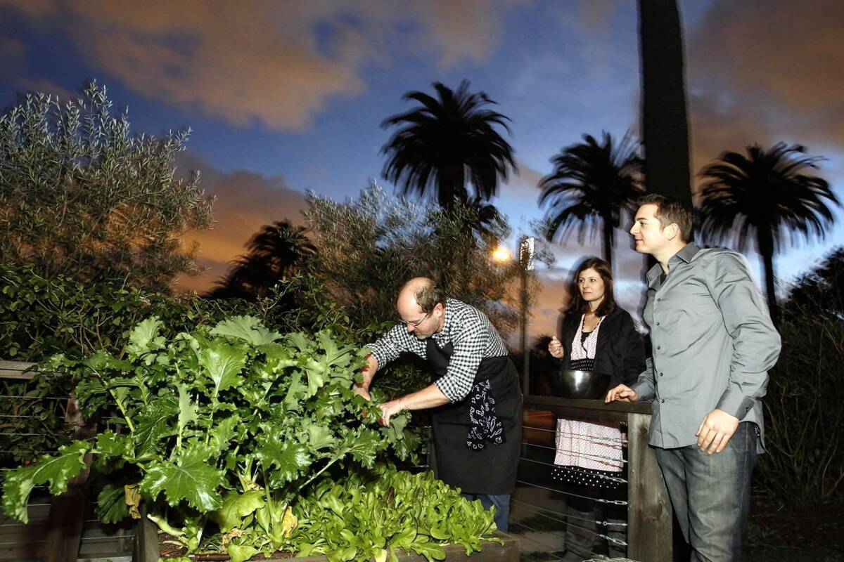 Los Angeles Times Food Editor Russ Parsons (left), in his garden with Carter Calhoun (right) and his fiancee Meghan Garvey (middle) at Parsons' Long Beach home picking ingredients.
