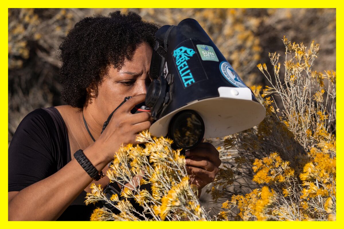 Photographer, artist and community scientist Krystle Hickman photographs a honey bee on a rabbit bush.