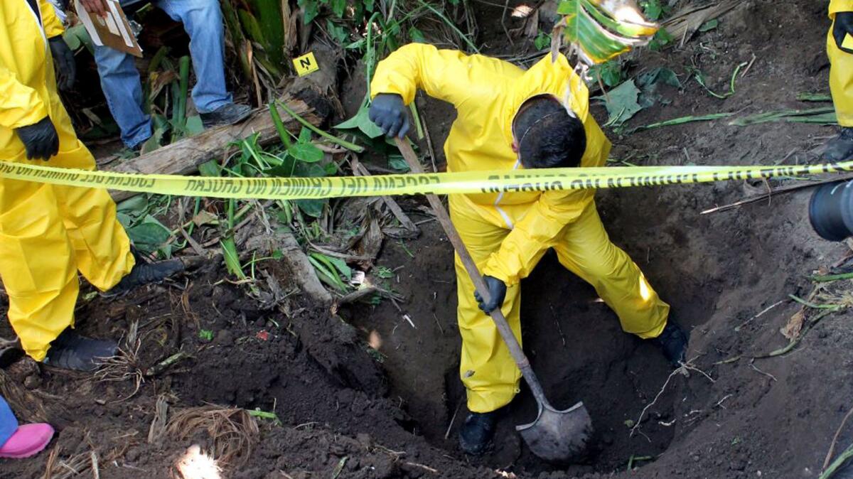 A crime scene technician digs up a clandestine grave, one of three discovered in a sugarcane field in Mexico's Nayarit state that were found to hold 33 bodies, on Jan. 15.
