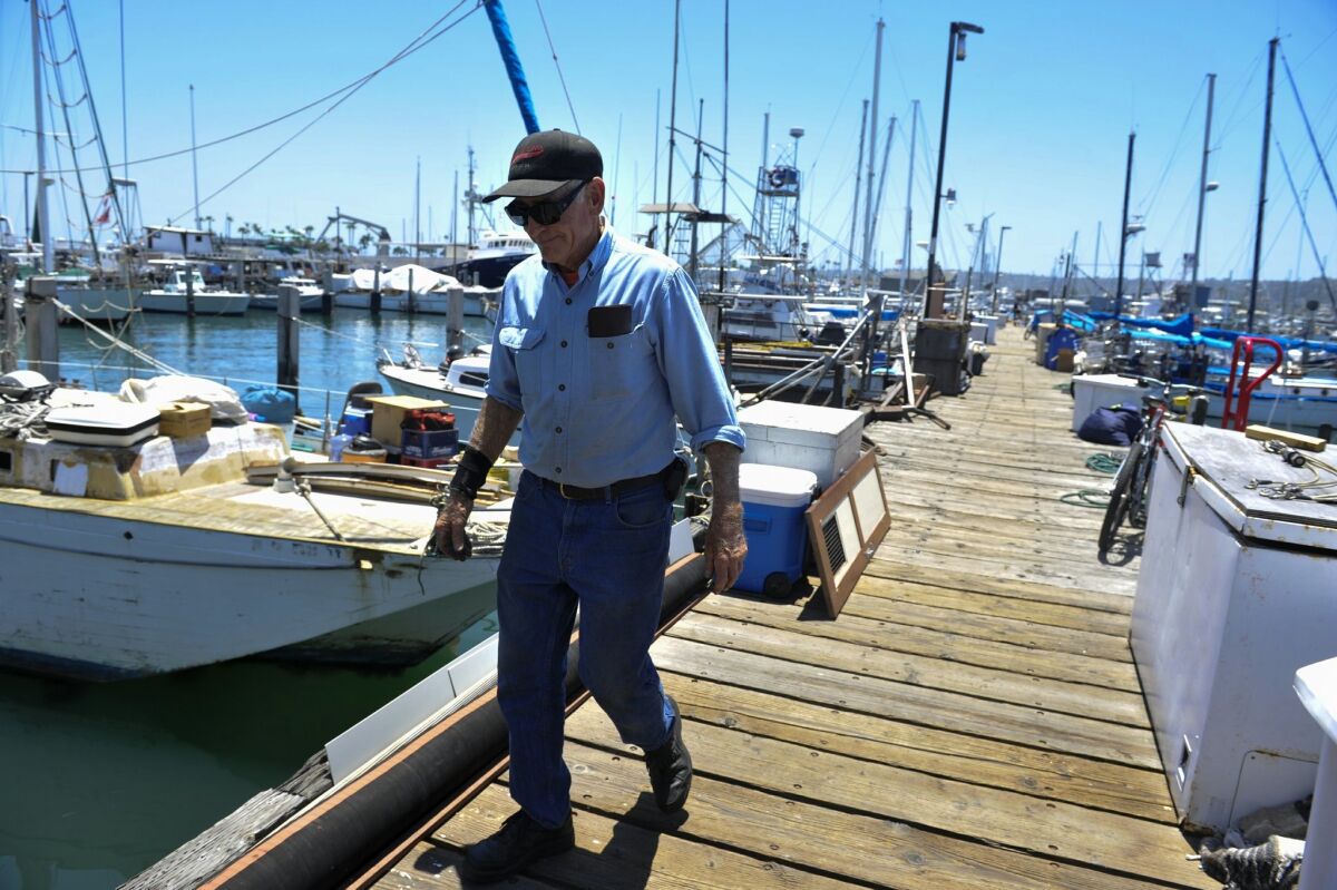 Phil Harris is a fisherman that is concerned with the condition of Driscoll's Wharf