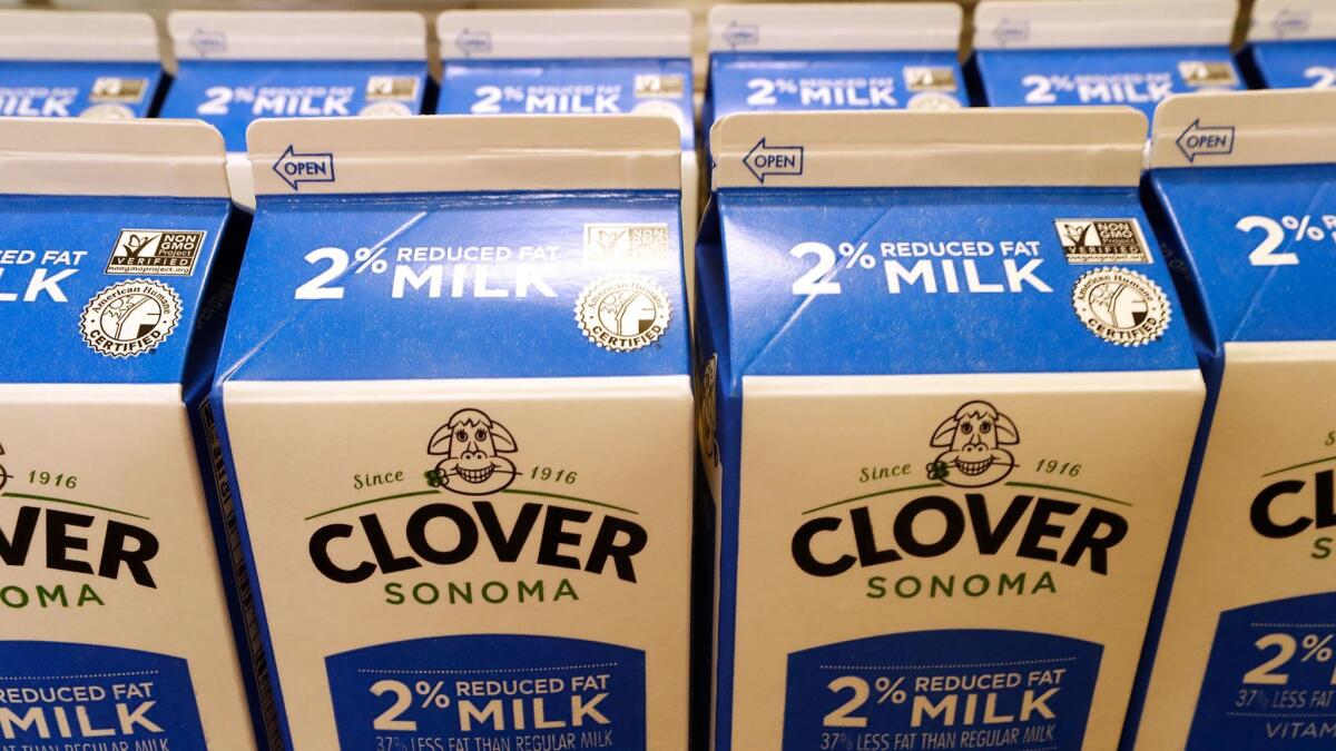 Cartons of milk packaged at the Clover Sonoma dairy plant bear the non-GMO label, signifying they do not contain genetically modified organisms.