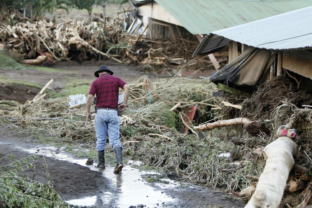 Un hombre camina junto a los escombros de viviendas hoy, viernes 25 de noviembre de 2016, tras el paso del huracán Otto que afectó principalmente el norte del país, en Bijagua (Costa Rica). Las muertes a causa del huracán Otto en Costa Rica aumentaron a 9, entre ellos dos menores, informaron hoy las autoridades del país.