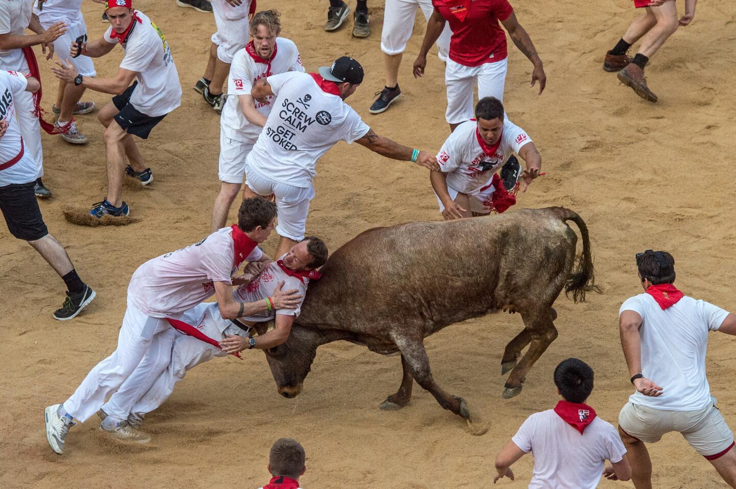 Revelers try to avoid a fighting cow inside Pamplona's bullring during the second day of the San Fermin Running of the Bulls festival in Pamplona, Spain. The annual Fiesta de San Fermin, made famous by the 1926 Ernest Hemmingway novel "The Sun Also Rises," involves the daily running of the bulls through the historic heart of they city to the bullring.