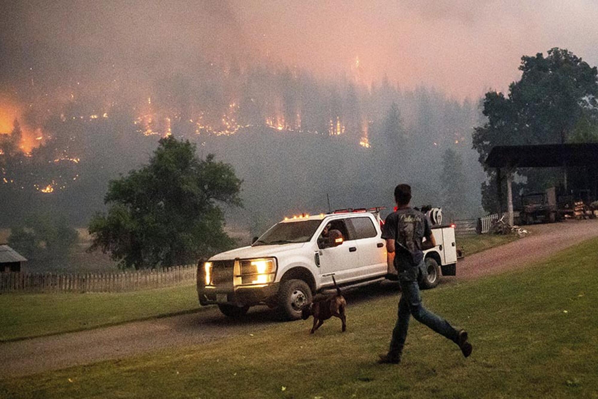 A man and his dog run to a pickup truck as wildfire burns a ridge nearby.