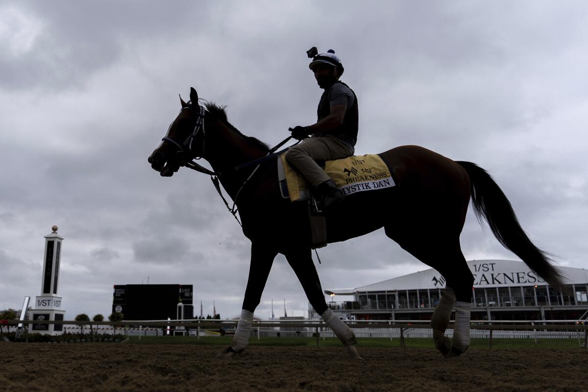 Kentucky Derby winner and Preakness Stakes entrant Mystik Dan works out Friday ahead of the Preakness Stakes