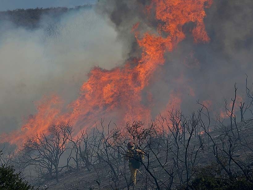 A firefighter is dwarfed by flames raging across a ridgeline near Newbury Park.