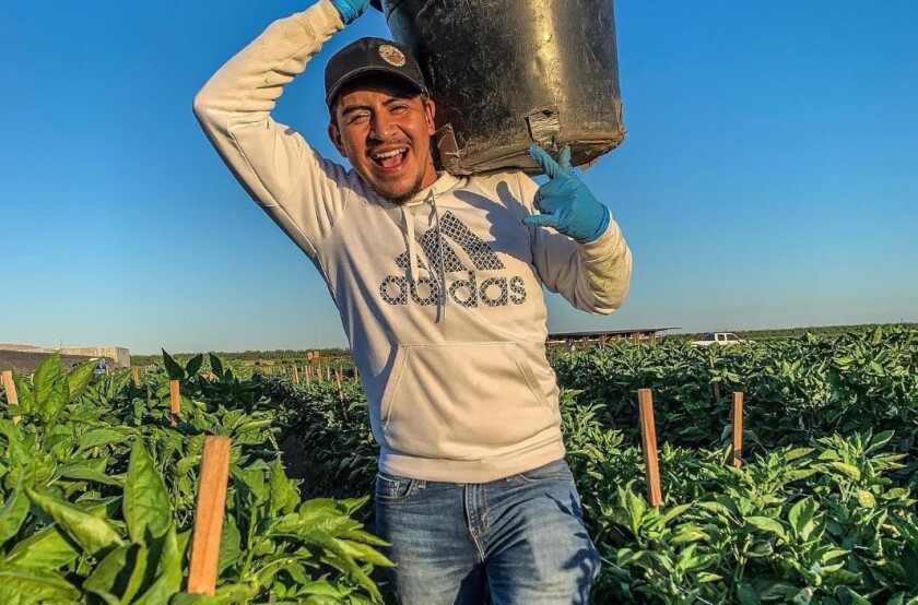 El adolescente Fernando Ayala sigue luchando para poder grabar su primer álbum.