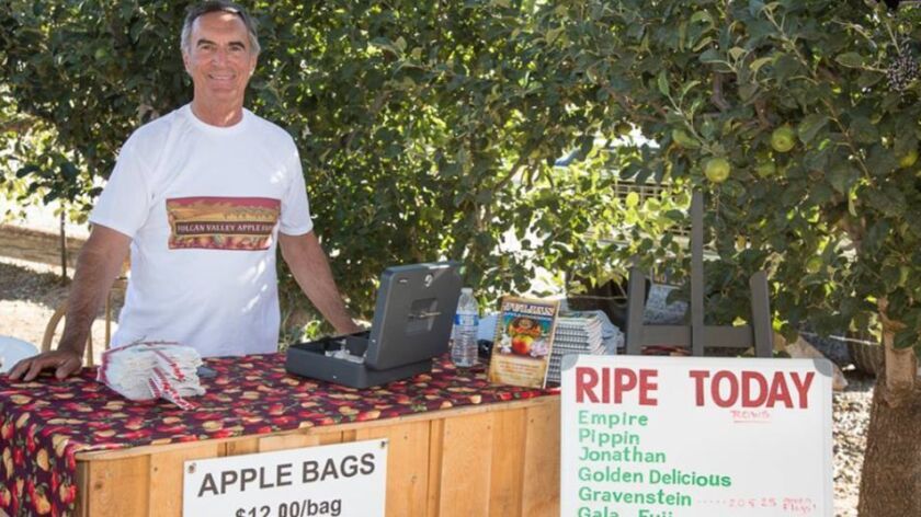 Roger Hedgecock picks new career: apple grower - The San Diego Union-Tribune