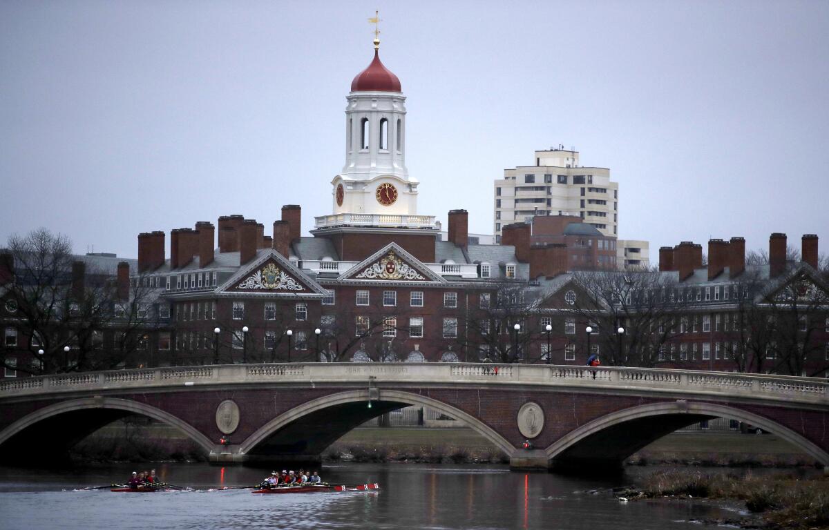 International students are expected to make up 12.3% of the 1,950 students in Harvard's class of 2023.