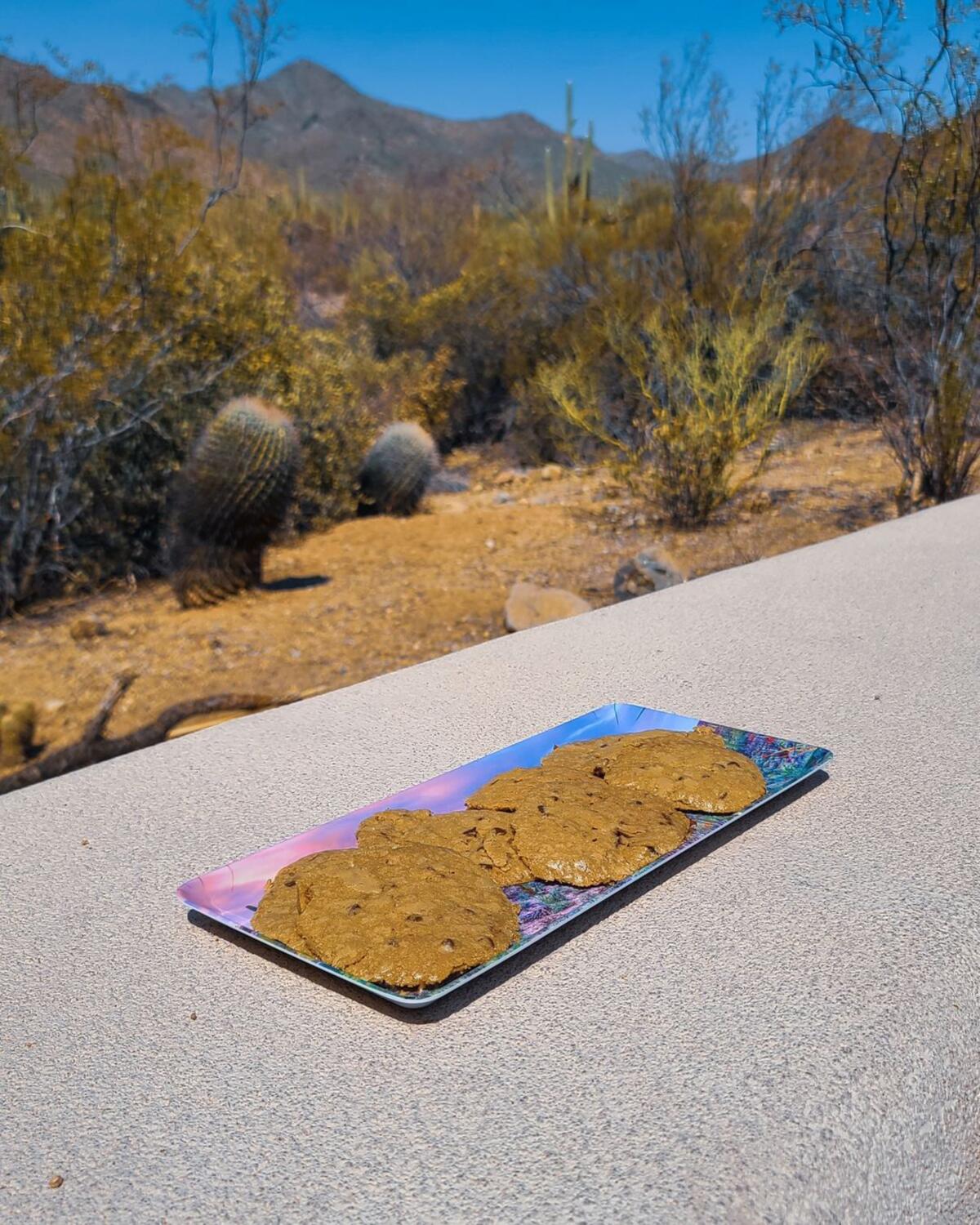 A tray of cookies bakes in the hot desert sun.