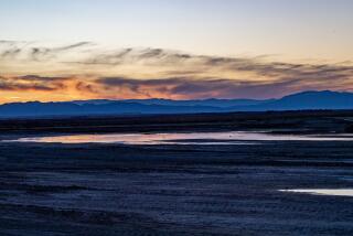 SALTON SEA, CA - DECEMBER 16, 2022: Dusk settles over a 4,110-acre project to create wetlands as a habitat for fish and birds at the southern end of the Salton Sea on December 16, 2022 in Salton Sea, California. The Salton Sea is shrinking.(Gina Ferazzi / Los Angeles Times)