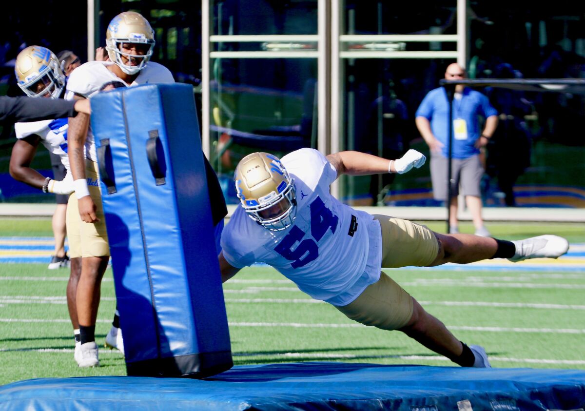 UCLA defensive lineman Laiatu Latu pounds the pads during UCLA spring football practice.