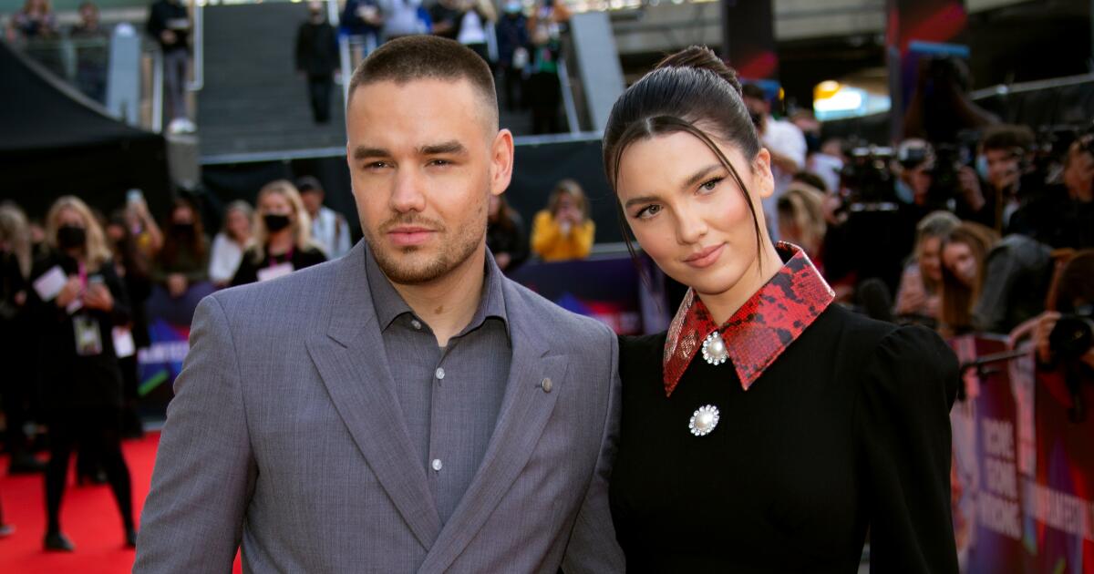 Liam Payne’s ex-girlfriend wrote a book about a pop star who threatens to jump off a balcony