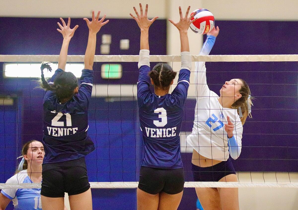 Palisades beats Venice to assert Metropolis Part ladies' volleyball title 1 Palisades' Anabelle Redaelli tries to spike over Venice blockers Aubrey Pope, left, and Kaya Richards.