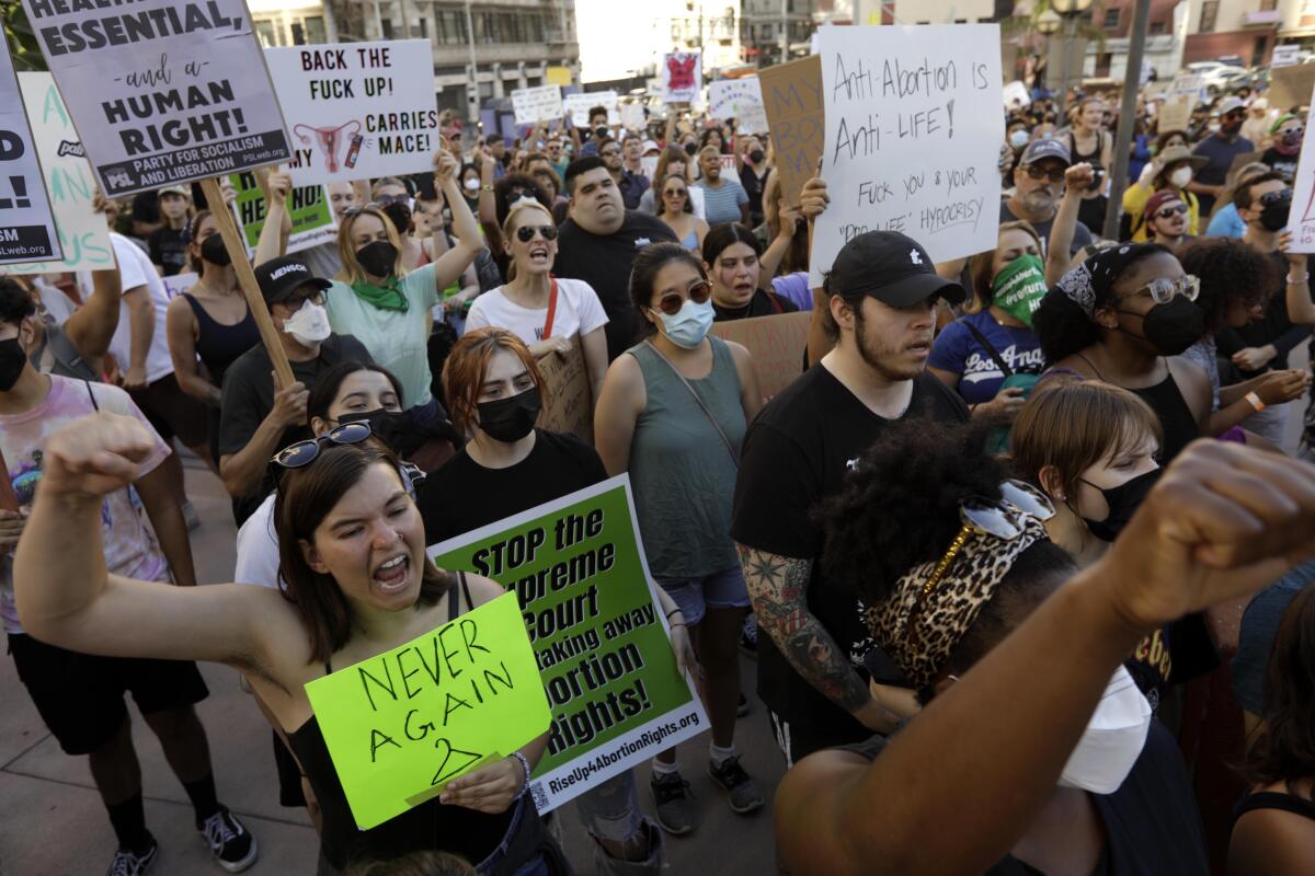 A crowd of abortion-rights protesters 