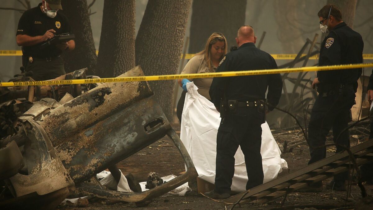 Police officers prepare to remove human remains that were found in a car destroyed by the Camp fire in Paradise, Calif.