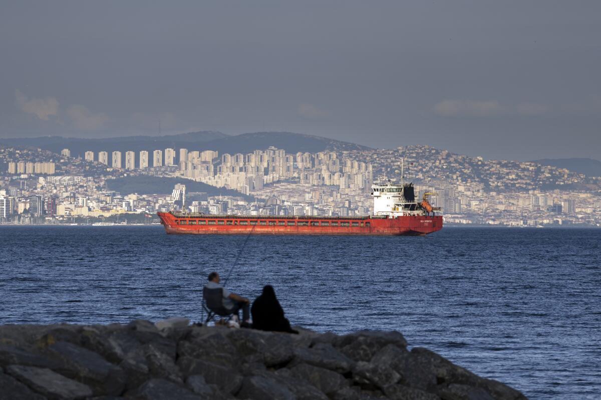 Cargo ship in the Sea of Marmara