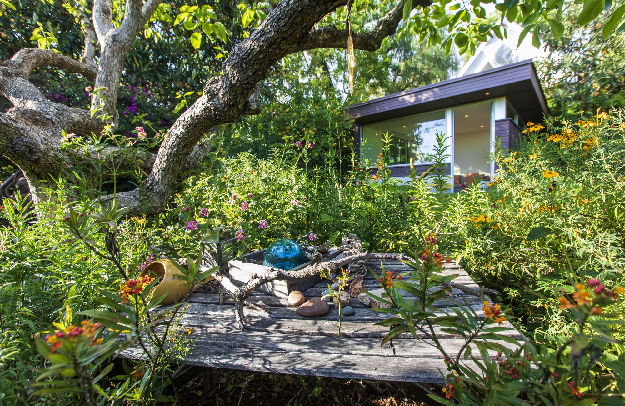 A studio nestled among plants and trees