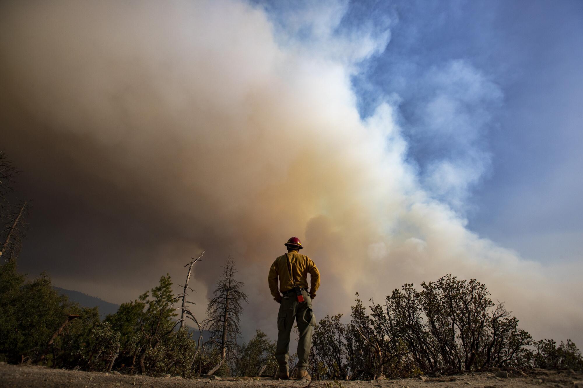 A firefighter faces a plume of smoke rising in a forested area