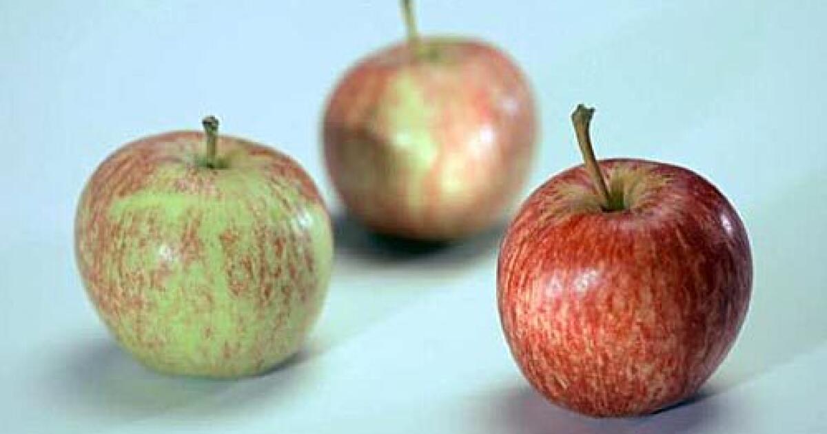 Fareway Stores - Gala Apples are great for eating, they