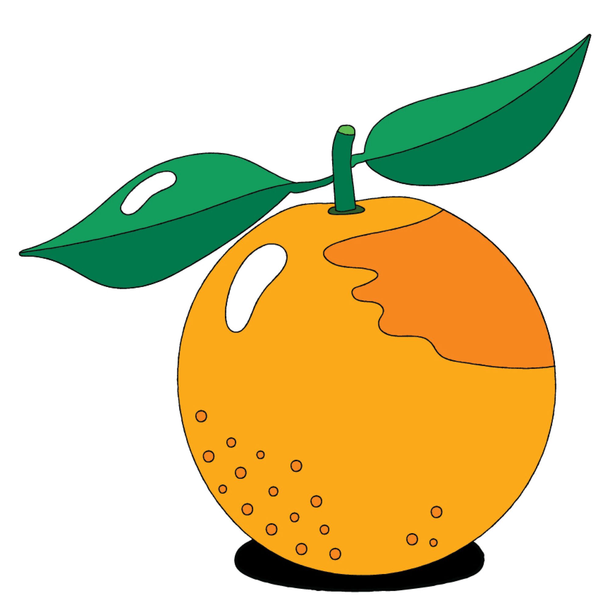An illustration of the Seville Oranges for L.A. in a Jar Citrus Marmalade.