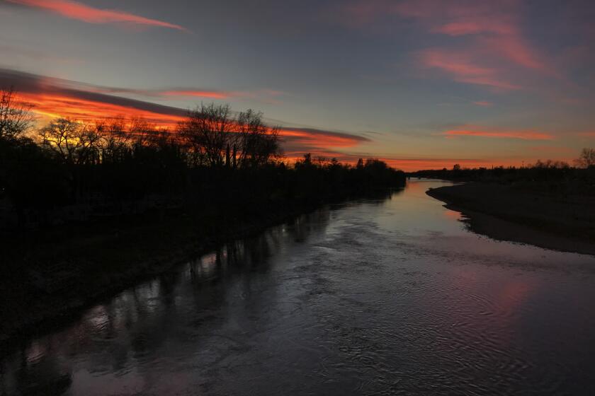 Red Buff, CA - January 22: The predawn glow reflects in the Sacramento River in Red Bluff. (Allen J. Schaben / Los Angeles Times)
