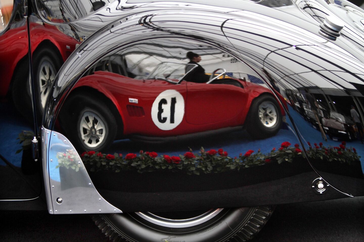 A Shelby 289 Cobra Competition Roadster from 1964 is reflected in the fender skirt of a 1937 Bugatti Type 57SC Atalante at the Concours d'Elegance weekend at Pebble Beach.