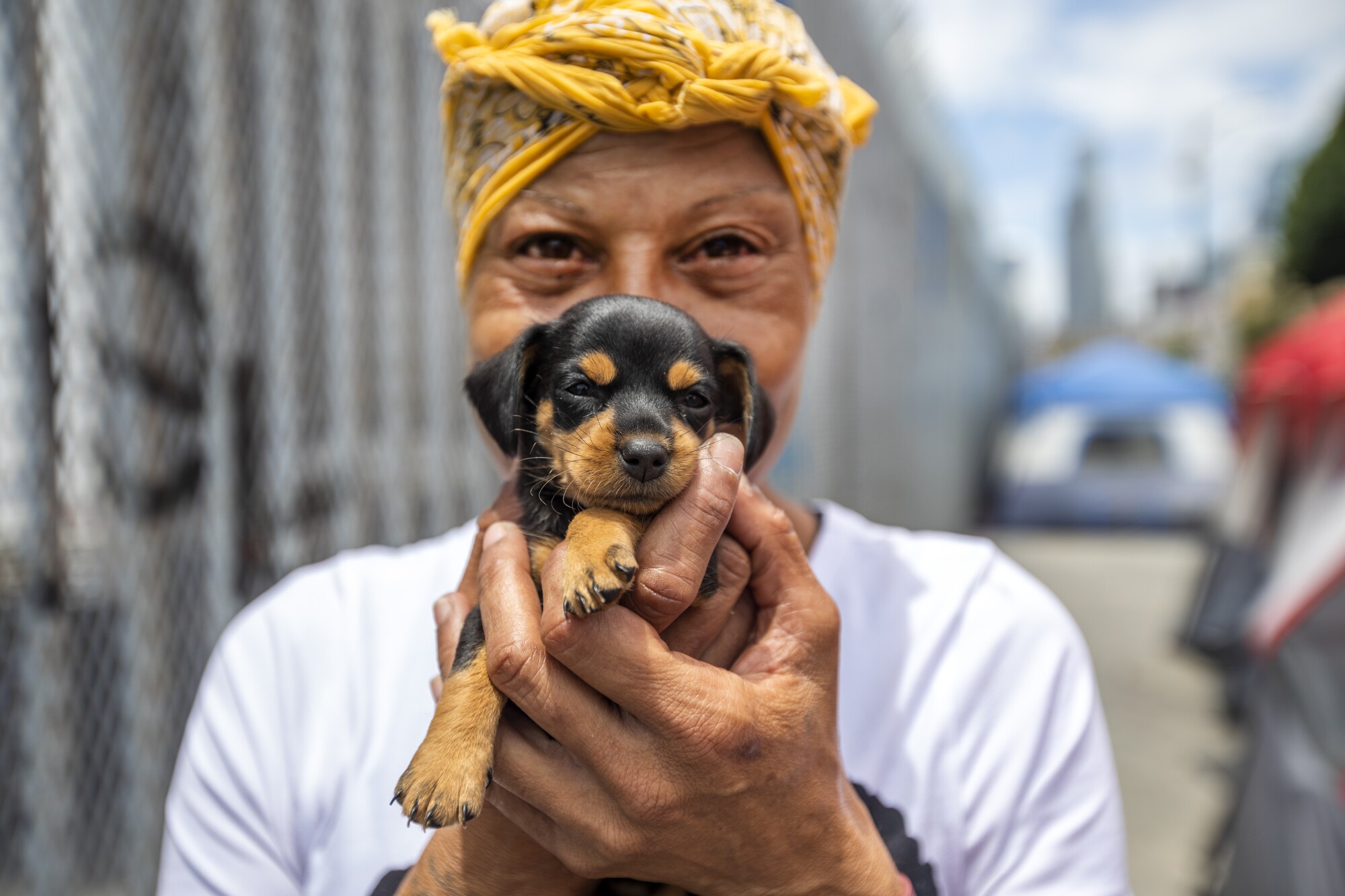 A woman holding a puppy