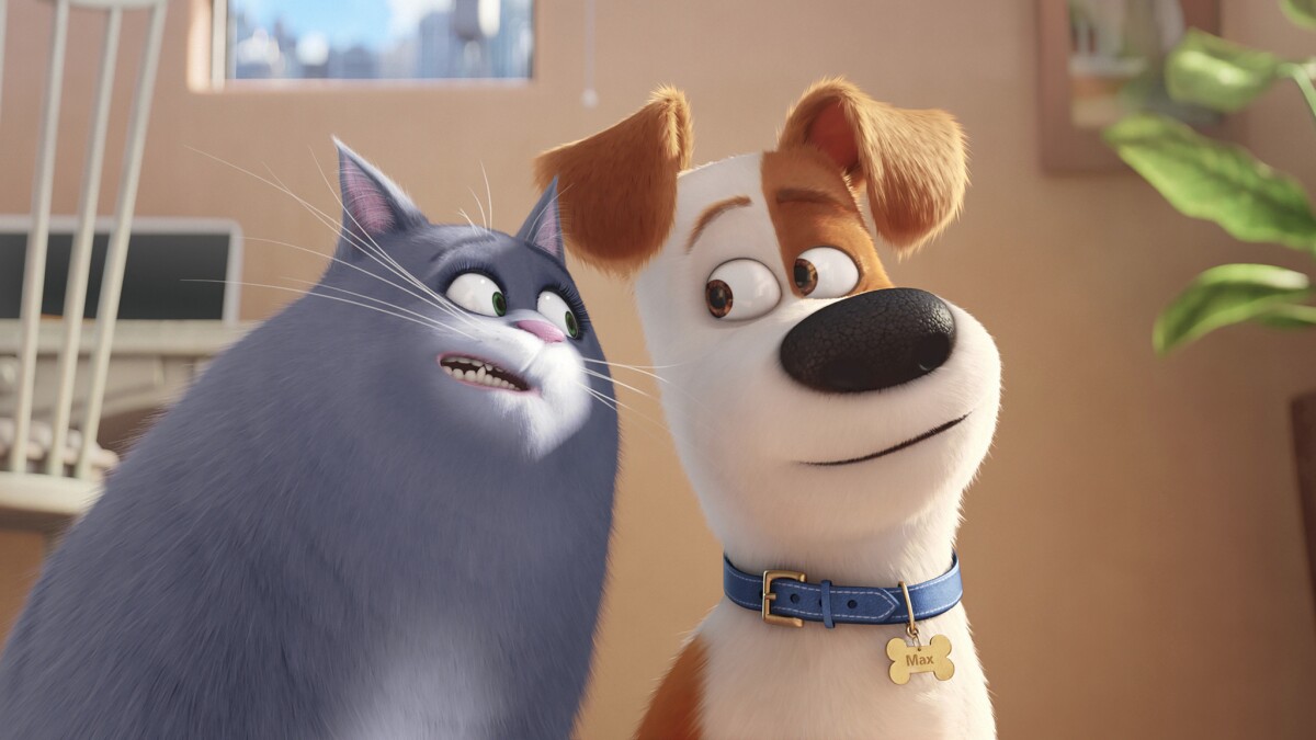 The Secret Life Of Pets Doesn T Actually Contain Any Secrets