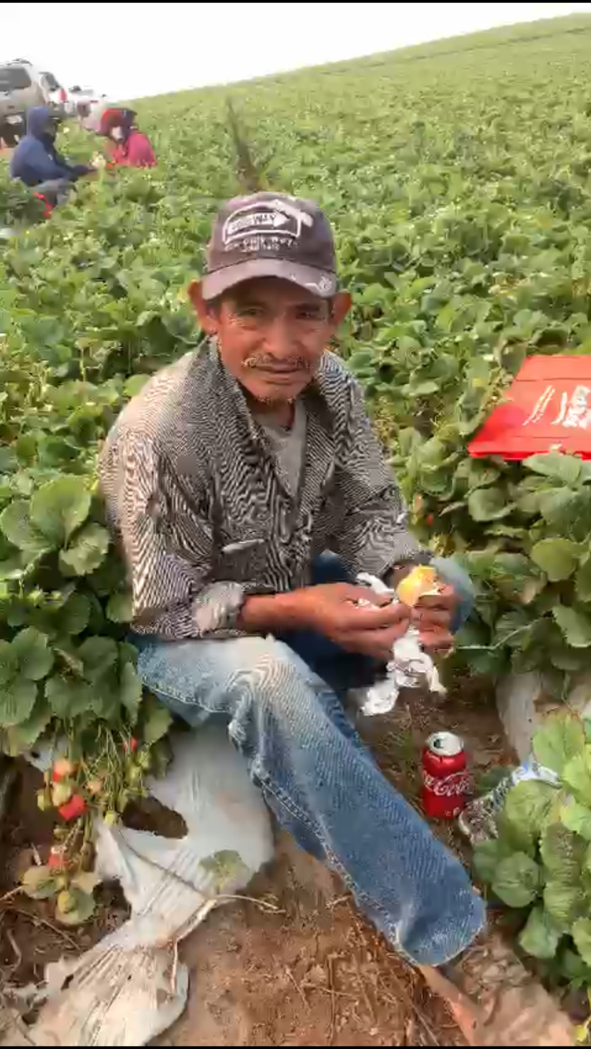 A farmworker eats during a break at camp.