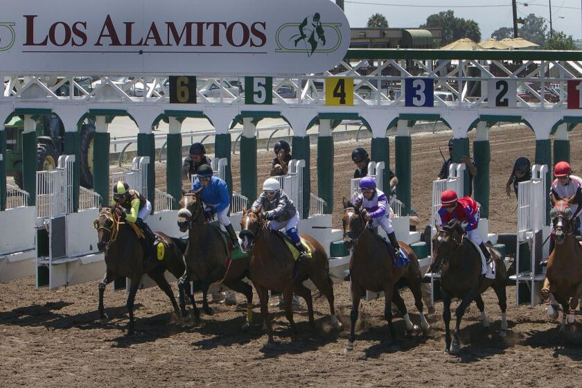LOS ALAMITOS, CA - JULY 3, 2014: Thoroughbred horses bolt out of the starting gate in the first race at Los Alamitos Race Track on July 3, 2014 in Los Alamitos, California. This is the first time thoroughbreds have raced at the track since 1991.(Gina Ferazzi / Los Angeles Times)