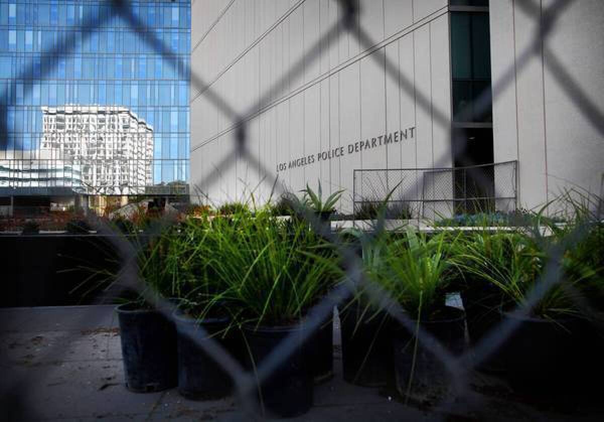 A fence blocks access to part of the grounds at LAPD headquarters that is being re-landscaped. The city is plowing $400,000 into the latest upgrade.