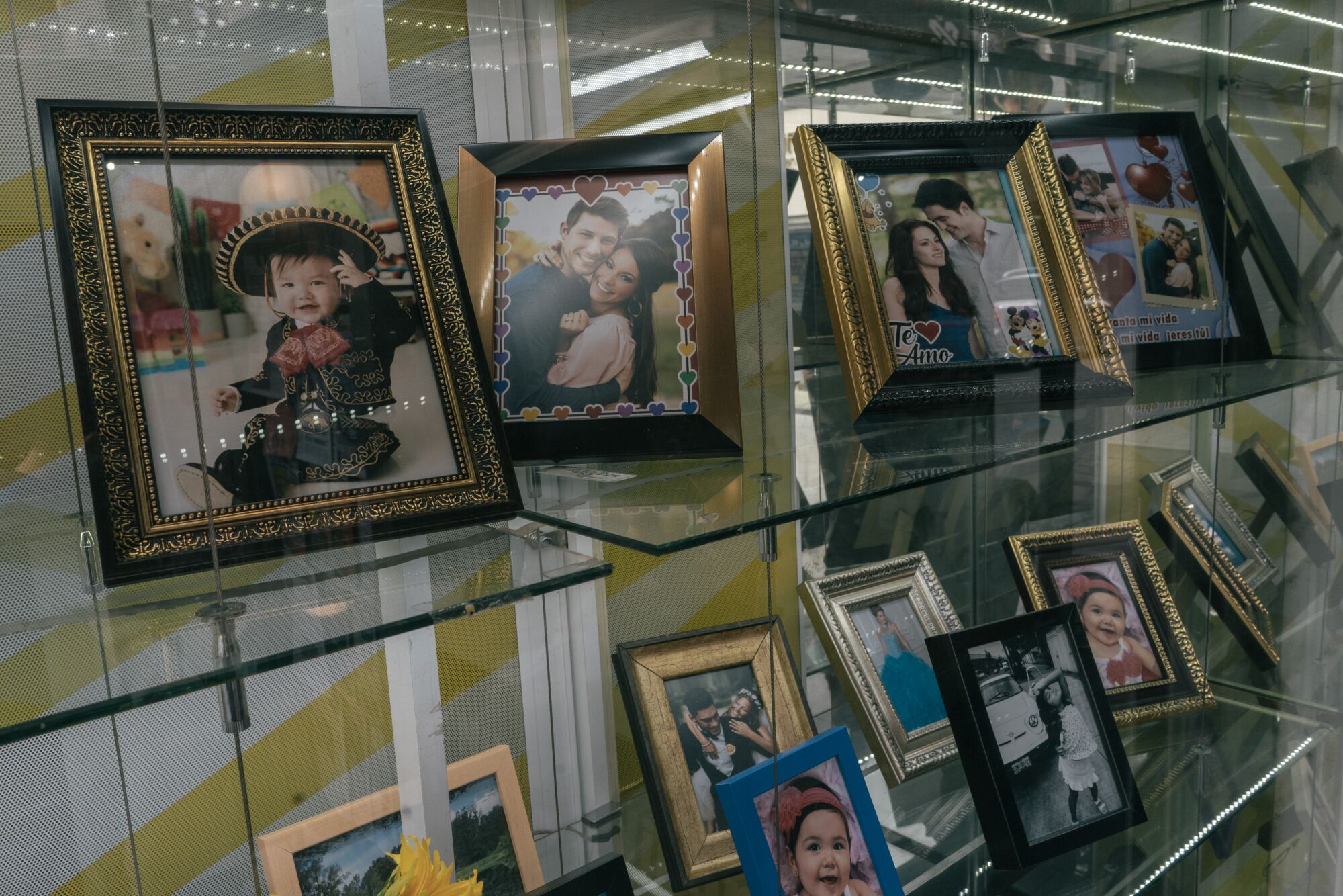 Framed photographs on glass shelves 