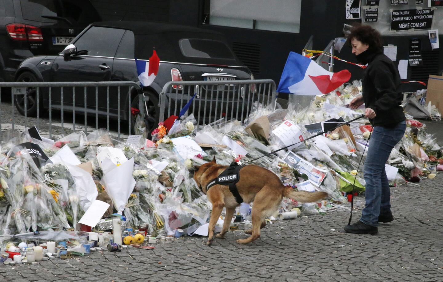Terror strikes Paris