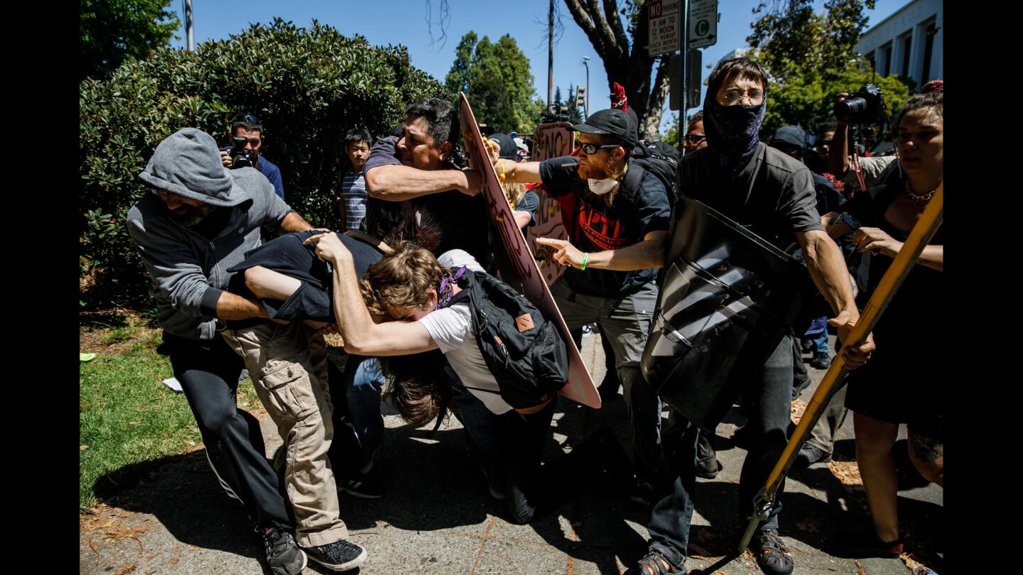 Demonstrators clash Sunday at Civic Center Park in Berkeley.