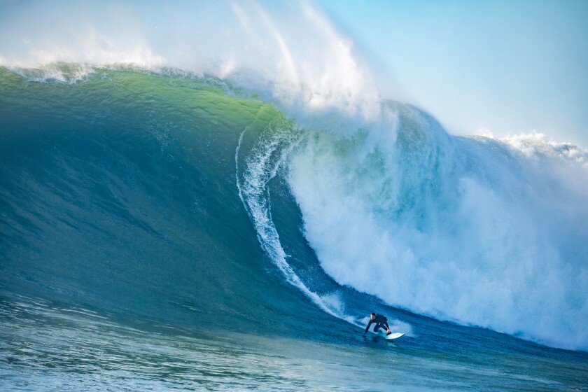 How Big Waves Build At Mavericks Near San Francisco Los Angeles Times Mavericks Surf 2022 Schedule