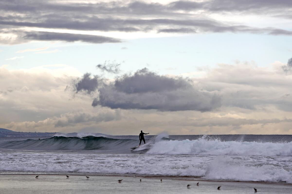 A surfer rides a wave just south of the Newport Pier during a break in the rain Thursday evening in Newport Beach.