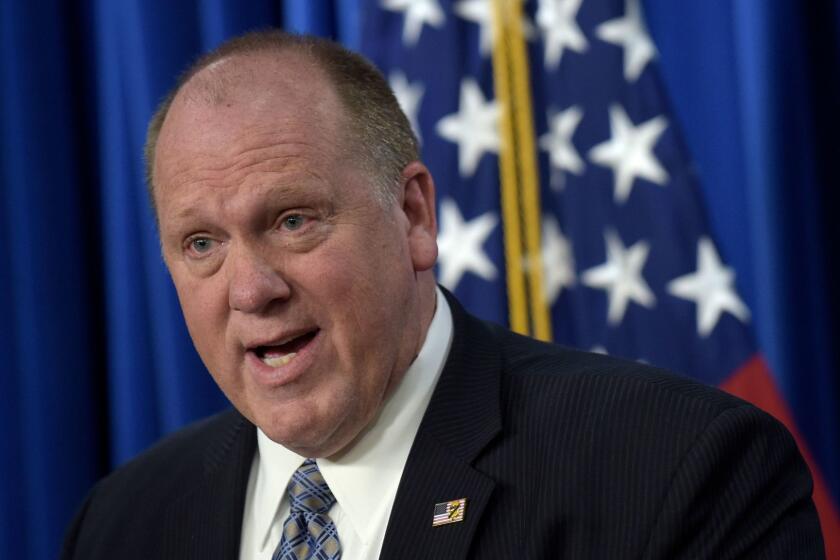 U.S. Immigration and Customs Enforcement acting director Thomas Homan speaks during a news conference in Washington, Thursday, May 11, 2017, to announce the results of a national operation targeting gang members and associates. (AP Photo/Susan Walsh)
