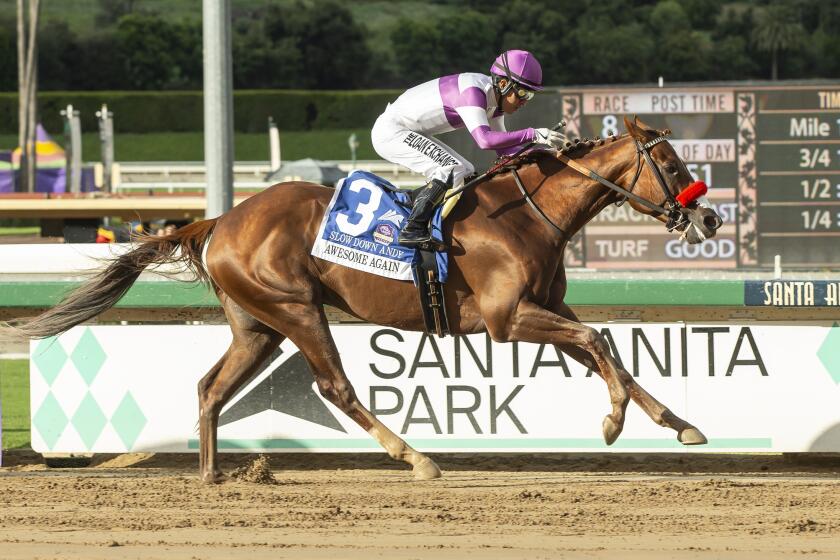 In a photo provided by Benoit Photo, Reddam Racing's Slow Down Andy and jockey Mario Gutierrez.